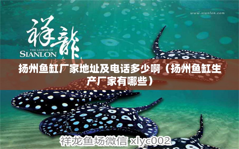 揚(yáng)州魚(yú)缸廠(chǎng)家地址及電話(huà)多少啊（揚(yáng)州魚(yú)缸生產(chǎn)廠(chǎng)家有哪些）