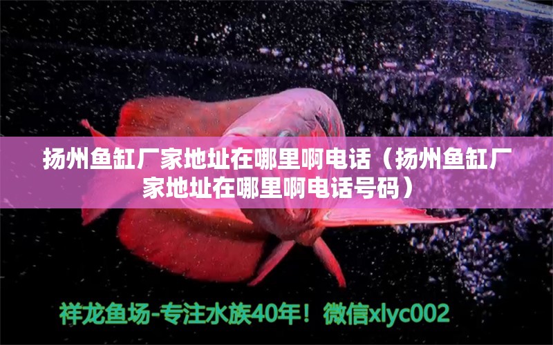 揚(yáng)州魚缸廠家地址在哪里啊電話（揚(yáng)州魚缸廠家地址在哪里啊電話號(hào)碼）