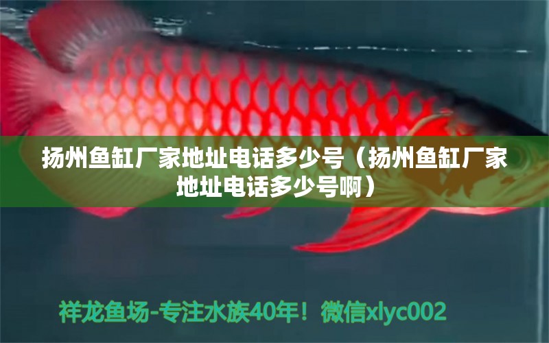 揚(yáng)州魚(yú)缸廠家地址電話多少號(hào)（揚(yáng)州魚(yú)缸廠家地址電話多少號(hào)?。? title=