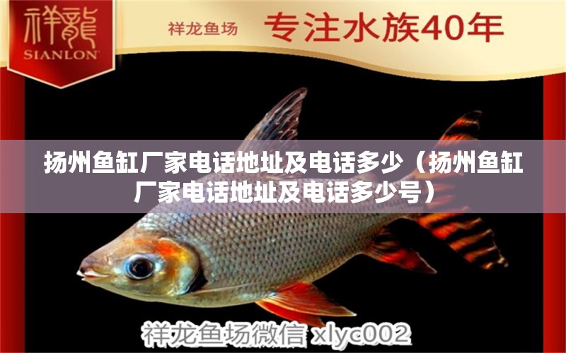 揚(yáng)州魚缸廠家電話地址及電話多少（揚(yáng)州魚缸廠家電話地址及電話多少號(hào)） 其他品牌魚缸