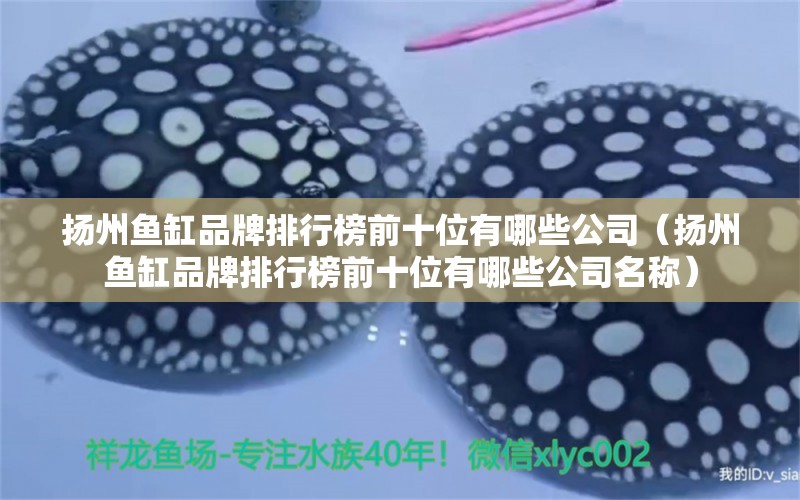 揚(yáng)州魚缸品牌排行榜前十位有哪些公司（揚(yáng)州魚缸品牌排行榜前十位有哪些公司名稱）