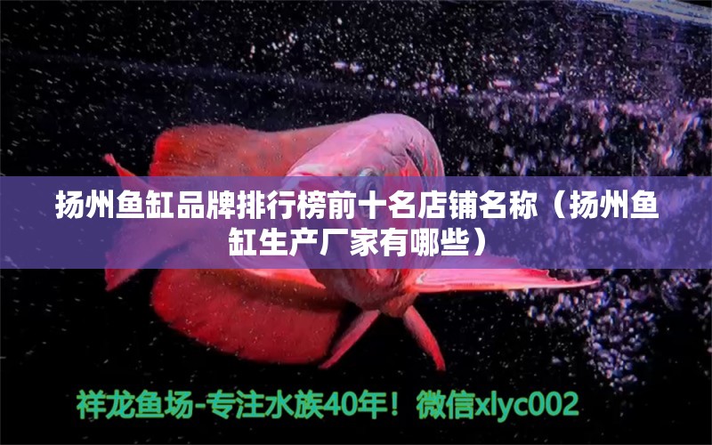 揚(yáng)州魚(yú)缸品牌排行榜前十名店鋪名稱（揚(yáng)州魚(yú)缸生產(chǎn)廠家有哪些）