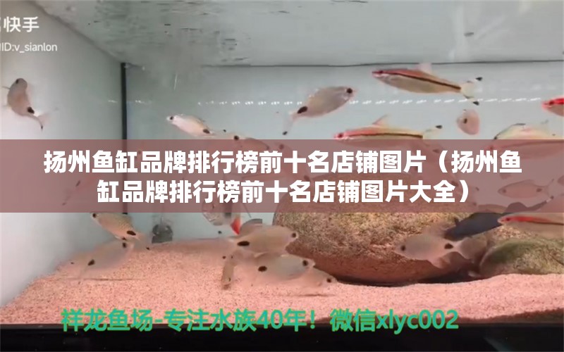 揚(yáng)州魚缸品牌排行榜前十名店鋪圖片（揚(yáng)州魚缸品牌排行榜前十名店鋪圖片大全）