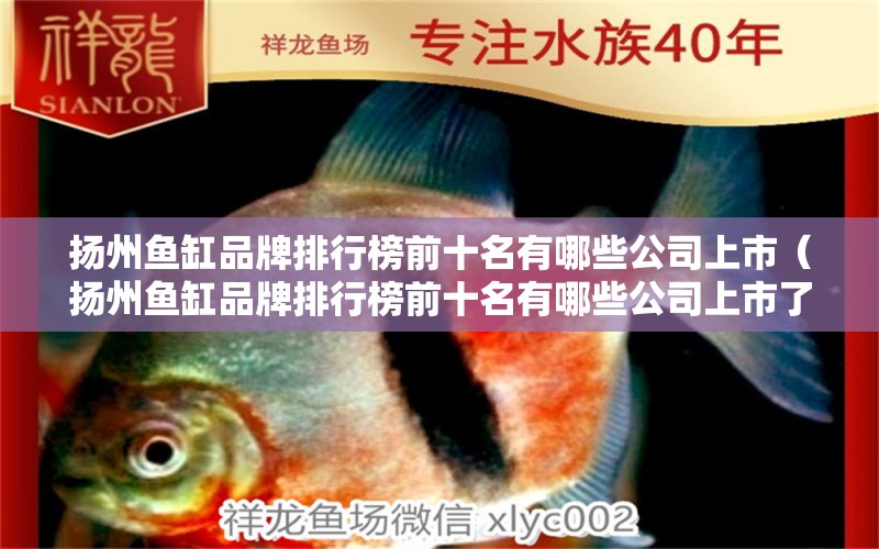 揚(yáng)州魚缸品牌排行榜前十名有哪些公司上市（揚(yáng)州魚缸品牌排行榜前十名有哪些公司上市了）