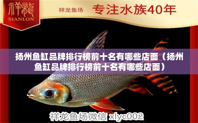 揚(yáng)州魚(yú)缸品牌排行榜前十名有哪些店面（揚(yáng)州魚(yú)缸品牌排行榜前十名有哪些店面）