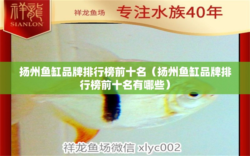 揚(yáng)州魚缸品牌排行榜前十名（揚(yáng)州魚缸品牌排行榜前十名有哪些）