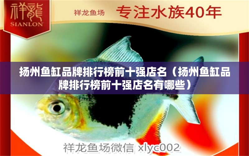 揚(yáng)州魚(yú)缸品牌排行榜前十強(qiáng)店名（揚(yáng)州魚(yú)缸品牌排行榜前十強(qiáng)店名有哪些） 其他品牌魚(yú)缸