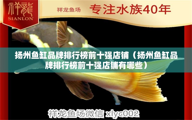 揚州魚缸品牌排行榜前十強店鋪（揚州魚缸品牌排行榜前十強店鋪有哪些） 其他品牌魚缸