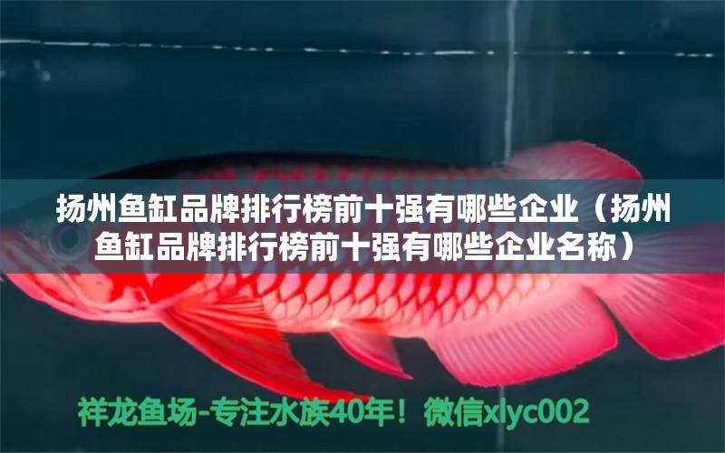 揚州魚缸品牌排行榜前十強(qiáng)有哪些企業(yè)（揚州魚缸品牌排行榜前十強(qiáng)有哪些企業(yè)名稱）