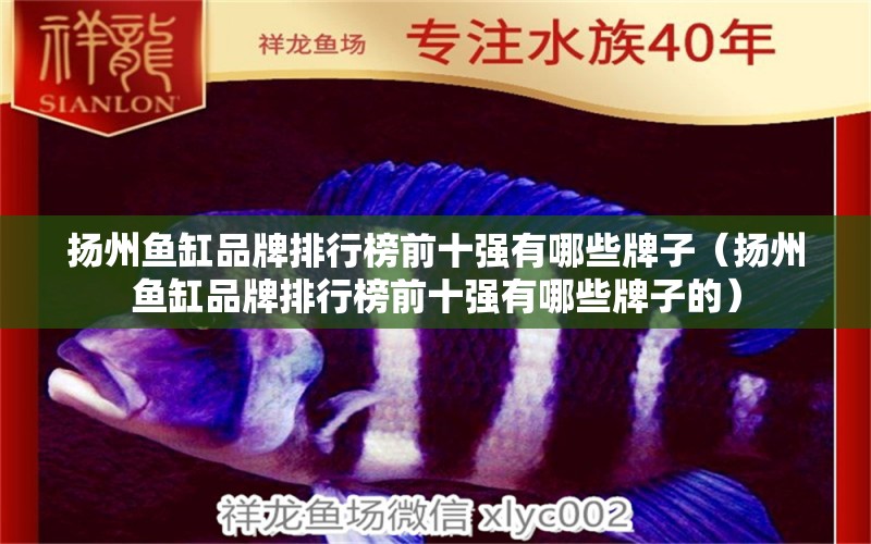 揚州魚缸品牌排行榜前十強有哪些牌子（揚州魚缸品牌排行榜前十強有哪些牌子的）