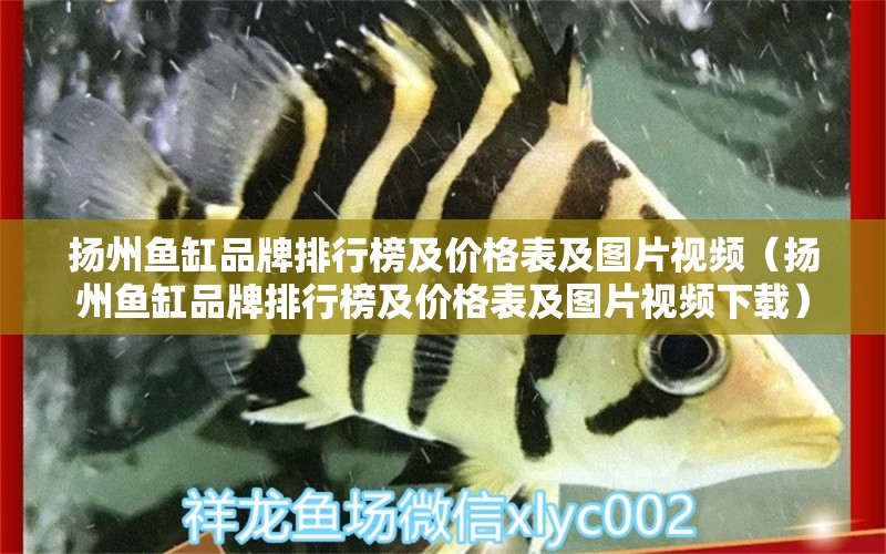 揚(yáng)州魚缸品牌排行榜及價(jià)格表及圖片視頻（揚(yáng)州魚缸品牌排行榜及價(jià)格表及圖片視頻下載）