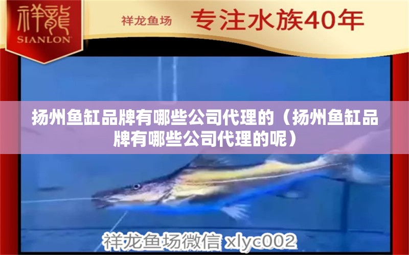 揚(yáng)州魚缸品牌有哪些公司代理的（揚(yáng)州魚缸品牌有哪些公司代理的呢）