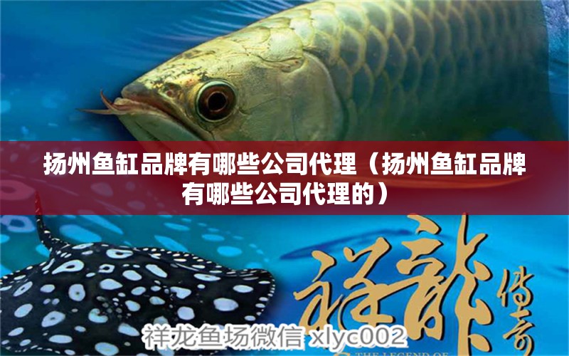 揚(yáng)州魚缸品牌有哪些公司代理（揚(yáng)州魚缸品牌有哪些公司代理的）