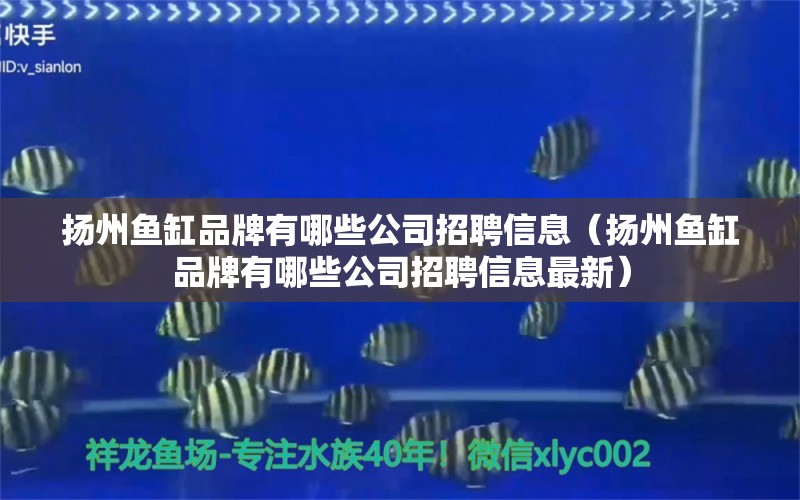 揚(yáng)州魚缸品牌有哪些公司招聘信息（揚(yáng)州魚缸品牌有哪些公司招聘信息最新） 其他品牌魚缸