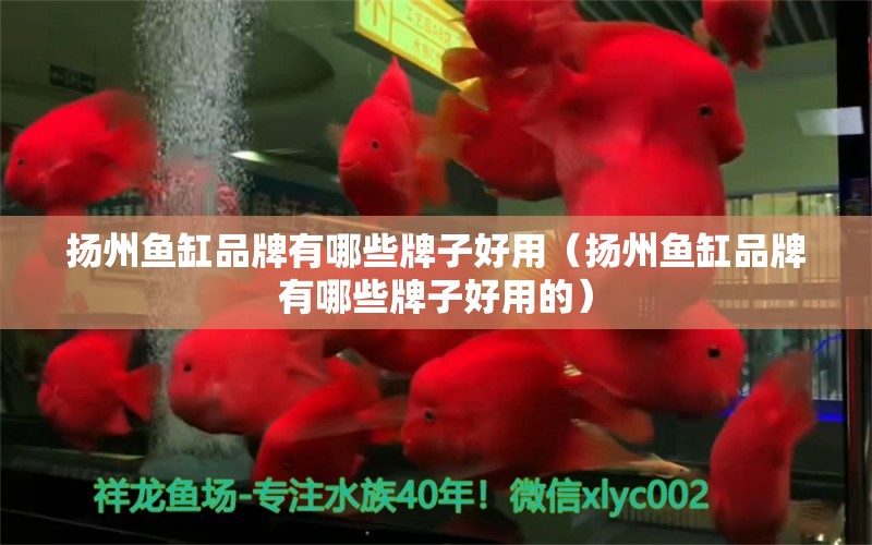 揚(yáng)州魚缸品牌有哪些牌子好用（揚(yáng)州魚缸品牌有哪些牌子好用的）