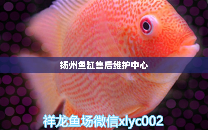 揚州魚缸售后維護中心