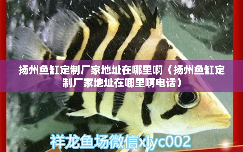 揚(yáng)州魚缸定制廠家地址在哪里?。〒P(yáng)州魚缸定制廠家地址在哪里啊電話） 其他品牌魚缸