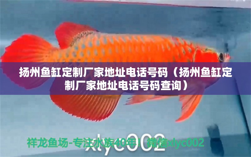 揚州魚缸定制廠家地址電話號碼（揚州魚缸定制廠家地址電話號碼查詢）