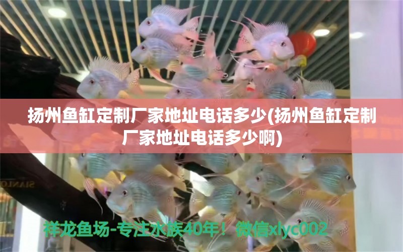 揚(yáng)州魚缸定制廠家地址電話多少(揚(yáng)州魚缸定制廠家地址電話多少啊)