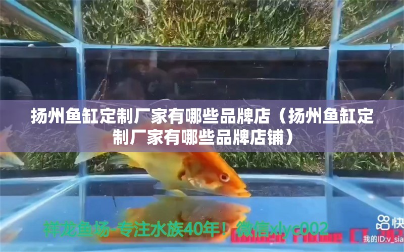 揚州魚缸定制廠家有哪些品牌店（揚州魚缸定制廠家有哪些品牌店鋪）