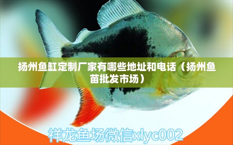 揚州魚缸定制廠家有哪些地址和電話（揚州魚苗批發(fā)市場）