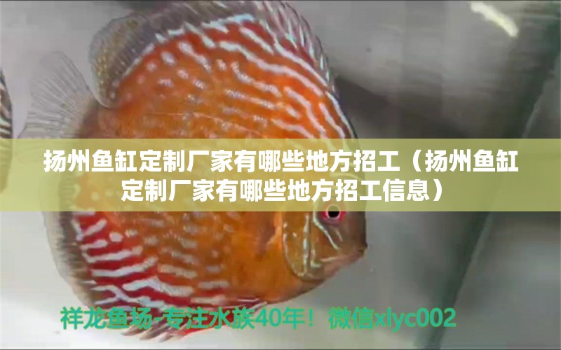 揚州魚缸定制廠家有哪些地方招工（揚州魚缸定制廠家有哪些地方招工信息）