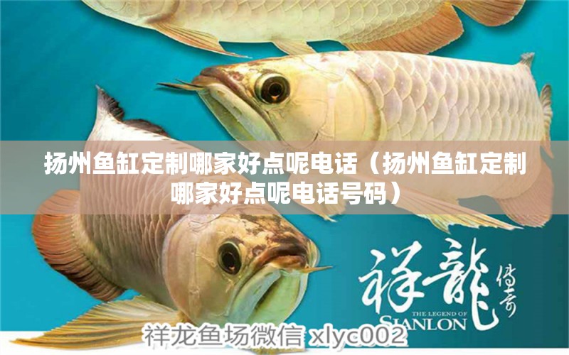 揚(yáng)州魚缸定制哪家好點(diǎn)呢電話（揚(yáng)州魚缸定制哪家好點(diǎn)呢電話號碼）