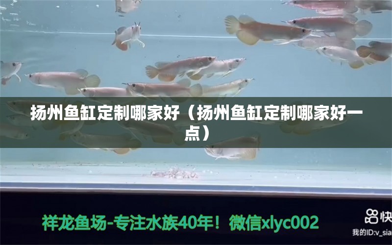 揚州魚缸定制哪家好（揚州魚缸定制哪家好一點） 其他品牌魚缸