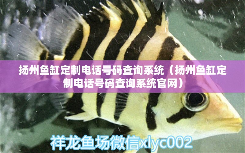 揚(yáng)州魚缸定制電話號(hào)碼查詢系統(tǒng)（揚(yáng)州魚缸定制電話號(hào)碼查詢系統(tǒng)官網(wǎng)）