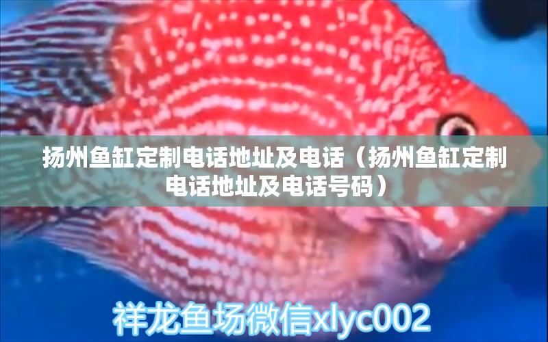 揚(yáng)州魚缸定制電話地址及電話（揚(yáng)州魚缸定制電話地址及電話號碼）