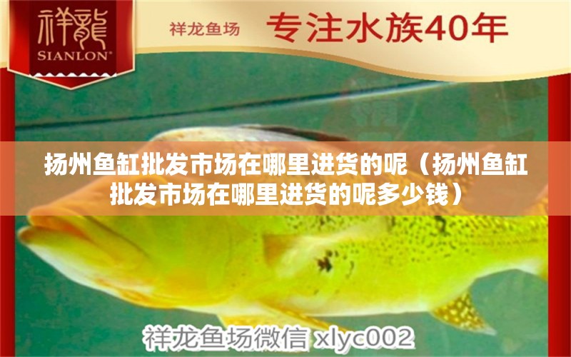 揚(yáng)州魚缸批發(fā)市場在哪里進(jìn)貨的呢（揚(yáng)州魚缸批發(fā)市場在哪里進(jìn)貨的呢多少錢）