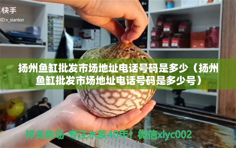 揚州魚缸批發(fā)市場地址電話號碼是多少（揚州魚缸批發(fā)市場地址電話號碼是多少號） 其他品牌魚缸