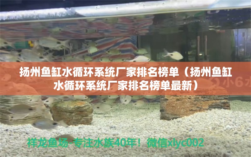 揚州魚缸水循環(huán)系統(tǒng)廠家排名榜單（揚州魚缸水循環(huán)系統(tǒng)廠家排名榜單最新）