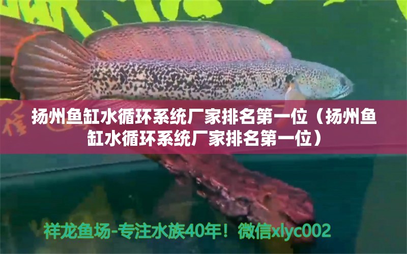 揚州魚缸水循環(huán)系統(tǒng)廠家排名第一位（揚州魚缸水循環(huán)系統(tǒng)廠家排名第一位）