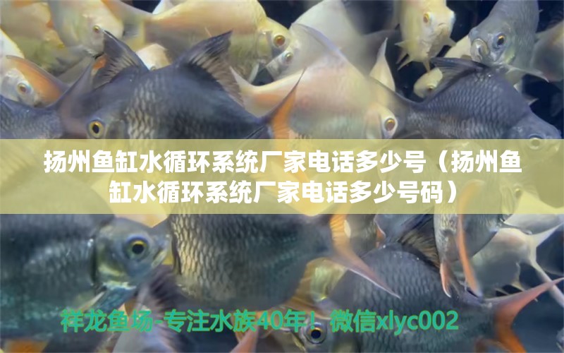 揚州魚缸水循環(huán)系統(tǒng)廠家電話多少號（揚州魚缸水循環(huán)系統(tǒng)廠家電話多少號碼） 其他品牌魚缸