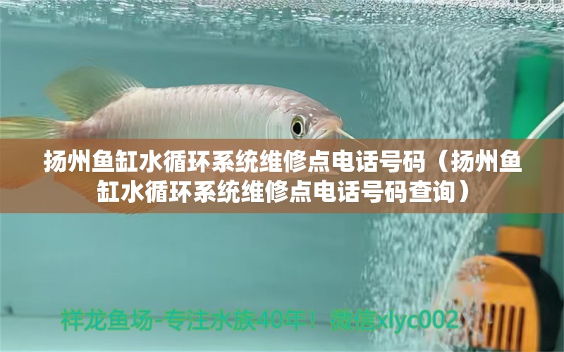 揚(yáng)州魚缸水循環(huán)系統(tǒng)維修點(diǎn)電話號(hào)碼（揚(yáng)州魚缸水循環(huán)系統(tǒng)維修點(diǎn)電話號(hào)碼查詢） 其他品牌魚缸