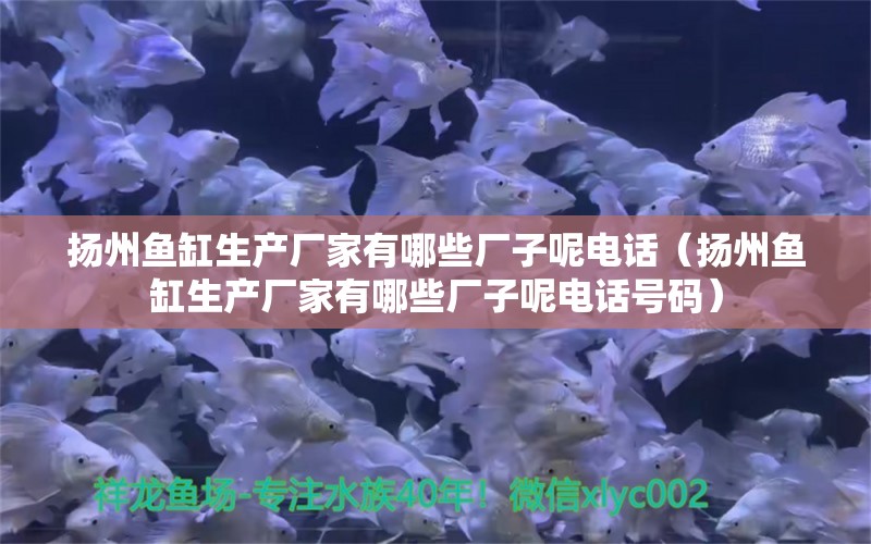 揚州魚缸生產(chǎn)廠家有哪些廠子呢電話（揚州魚缸生產(chǎn)廠家有哪些廠子呢電話號碼） 其他品牌魚缸