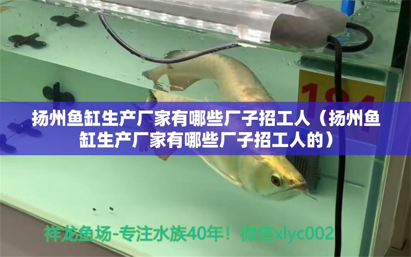 揚(yáng)州魚(yú)缸生產(chǎn)廠(chǎng)家有哪些廠(chǎng)子招工人（揚(yáng)州魚(yú)缸生產(chǎn)廠(chǎng)家有哪些廠(chǎng)子招工人的）