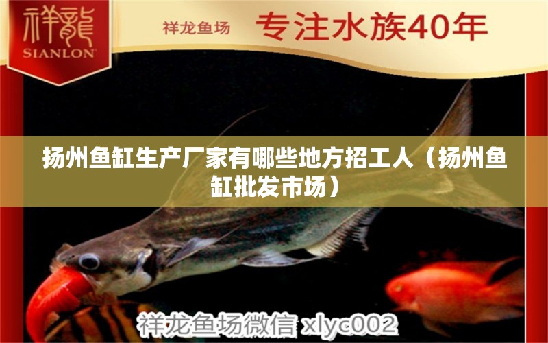 揚(yáng)州魚缸生產(chǎn)廠家有哪些地方招工人（揚(yáng)州魚缸批發(fā)市場） 錦鯉池魚池建設(shè)