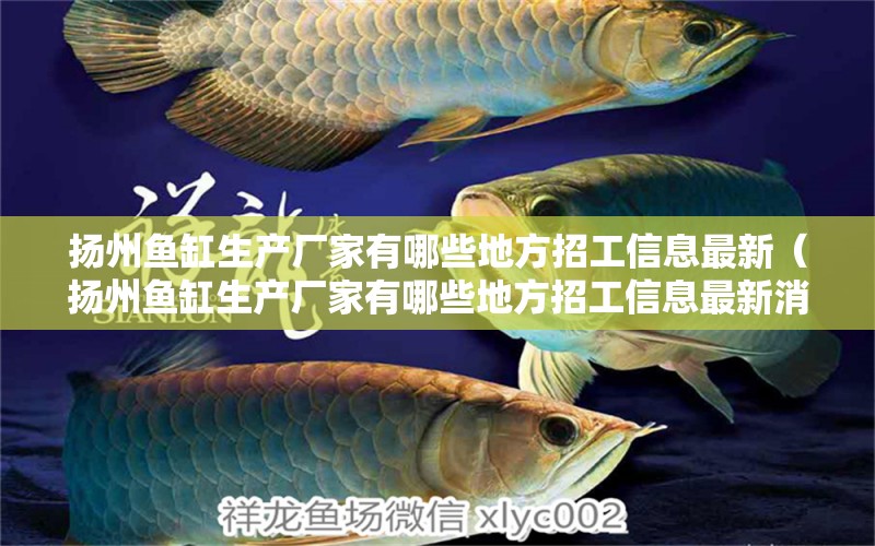 揚州魚缸生產(chǎn)廠家有哪些地方招工信息最新（揚州魚缸生產(chǎn)廠家有哪些地方招工信息最新消息）