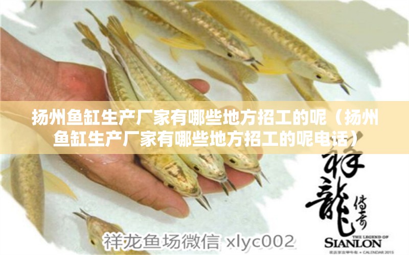 揚(yáng)州魚(yú)缸生產(chǎn)廠(chǎng)家有哪些地方招工的呢（揚(yáng)州魚(yú)缸生產(chǎn)廠(chǎng)家有哪些地方招工的呢電話(huà)）