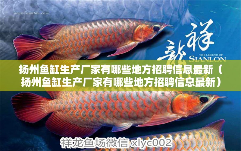 揚州魚缸生產(chǎn)廠家有哪些地方招聘信息最新（揚州魚缸生產(chǎn)廠家有哪些地方招聘信息最新）