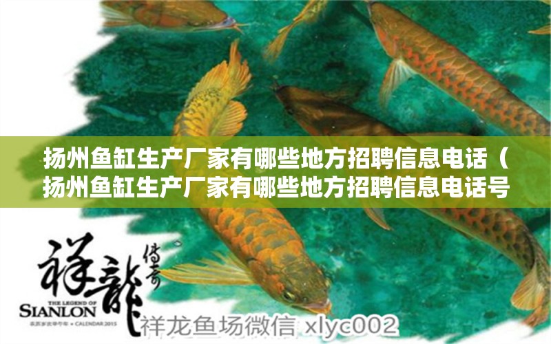 揚(yáng)州魚(yú)缸生產(chǎn)廠(chǎng)家有哪些地方招聘信息電話(huà)（揚(yáng)州魚(yú)缸生產(chǎn)廠(chǎng)家有哪些地方招聘信息電話(huà)號(hào)碼）