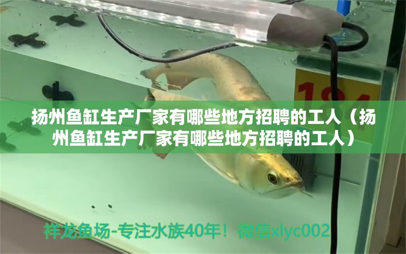 揚州魚缸生產(chǎn)廠家有哪些地方招聘的工人（揚州魚缸生產(chǎn)廠家有哪些地方招聘的工人） 其他品牌魚缸