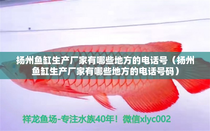 揚(yáng)州魚(yú)缸生產(chǎn)廠(chǎng)家有哪些地方的電話(huà)號(hào)（揚(yáng)州魚(yú)缸生產(chǎn)廠(chǎng)家有哪些地方的電話(huà)號(hào)碼）