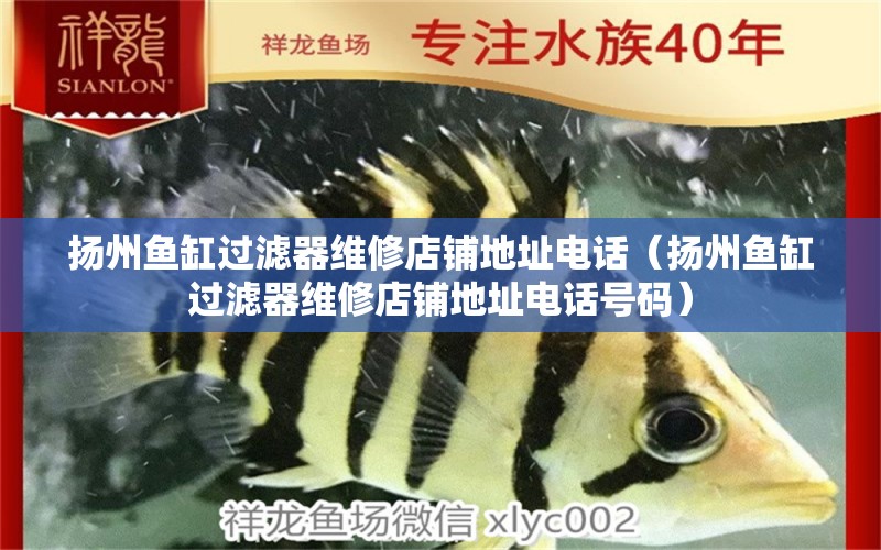 揚(yáng)州魚缸過濾器維修店鋪地址電話（揚(yáng)州魚缸過濾器維修店鋪地址電話號碼）