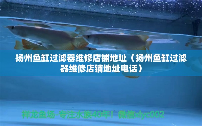 揚(yáng)州魚缸過濾器維修店鋪地址（揚(yáng)州魚缸過濾器維修店鋪地址電話）