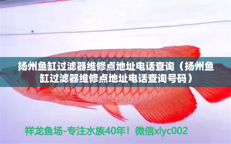 揚州魚缸過濾器維修點地址電話查詢（揚州魚缸過濾器維修點地址電話查詢號碼） 其他品牌魚缸