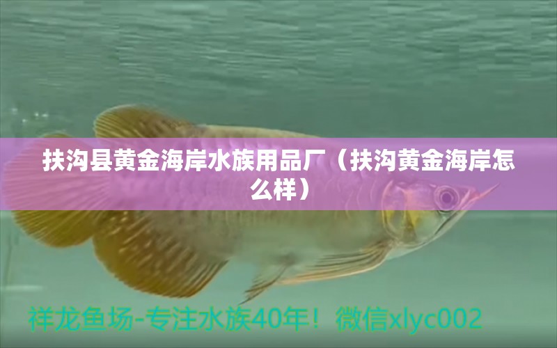 扶溝縣黃金海岸水族用品廠（扶溝黃金海岸怎么樣） 水族用品