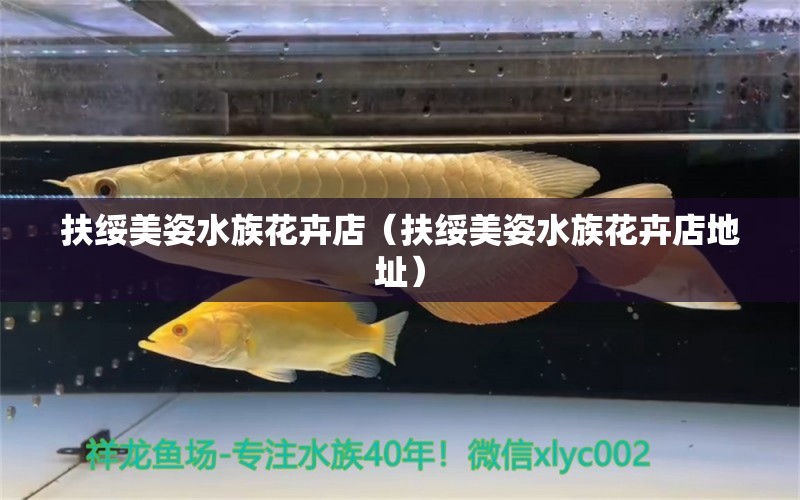 扶綏美姿水族花卉店（扶綏美姿水族花卉店地址）